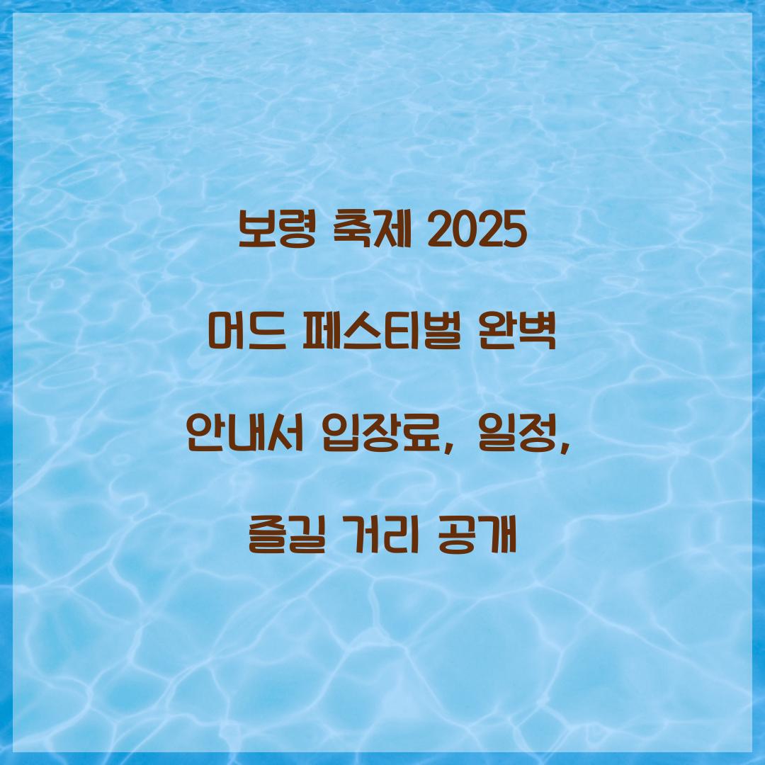 보령 축제 2025 머드 페스티벌