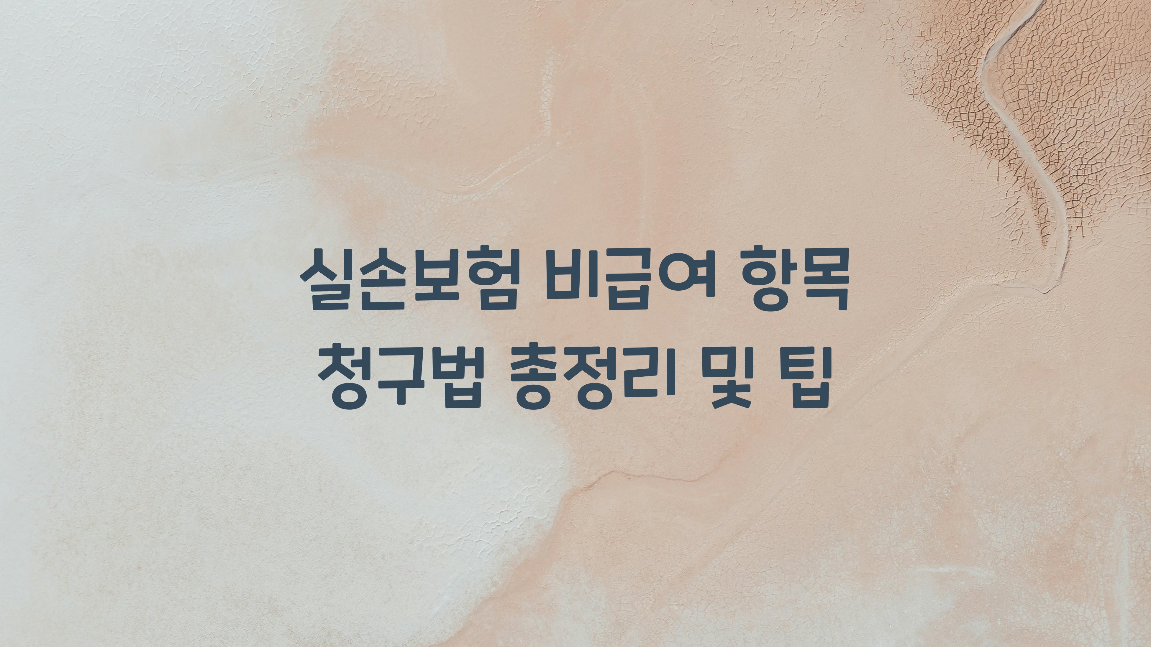 실손보험 비급여 항목 청구법