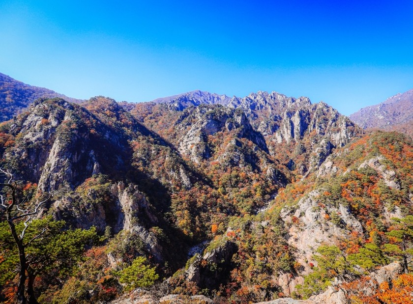 설악산 단풍
