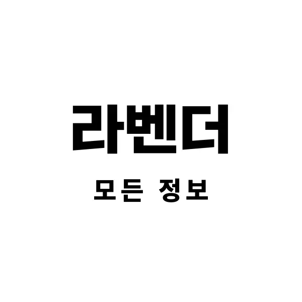 라벤더꽃피는시기