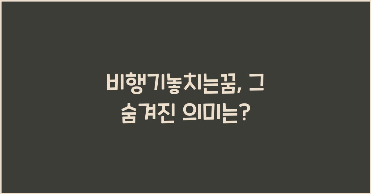 비행기놓치는꿈