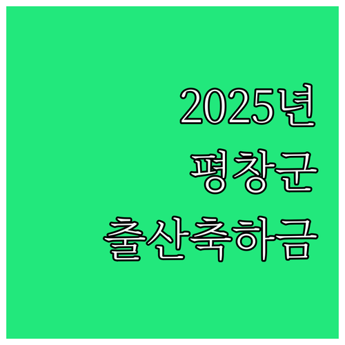2025년 평창군 출산 장려 정책 출..