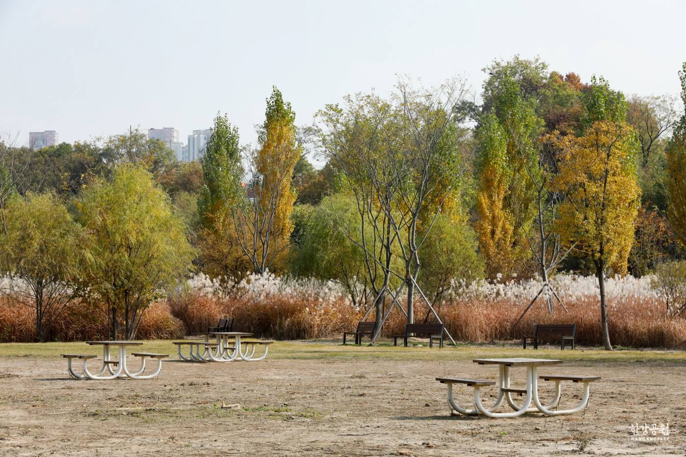 반려견과 가기 좋은 서울 가을 산책 코스