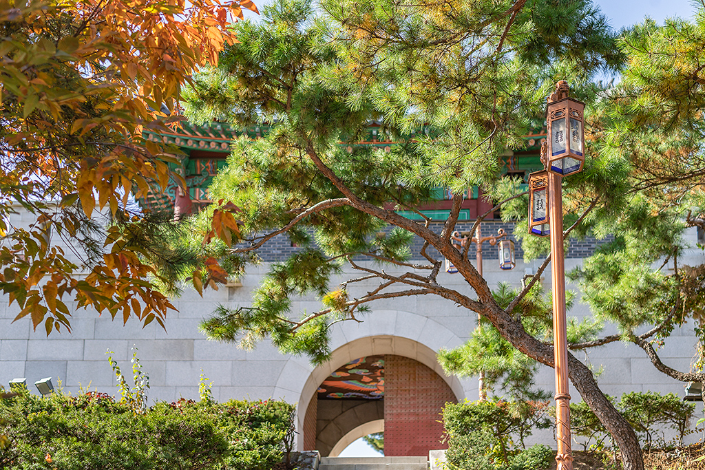 혜화문
성북동
한양도성길
백악구간
서울여행
서울단풍
가을단풍
단풍