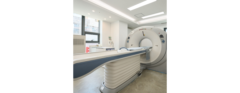 서울 강서구 동물병원