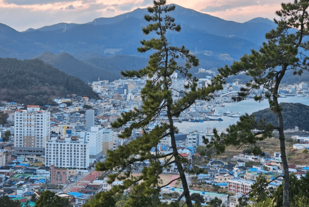 완도 가볼만한곳 베스트10