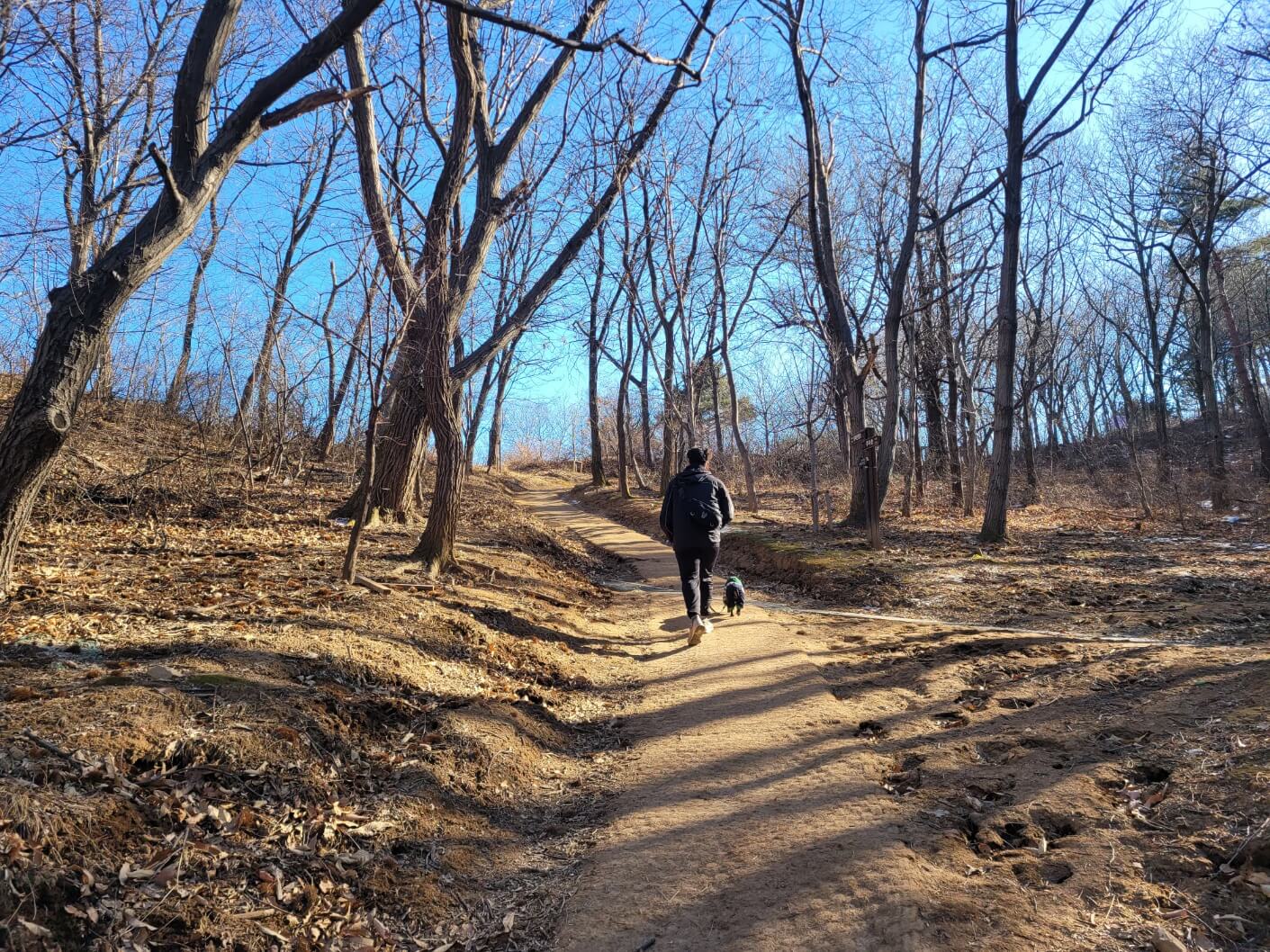 청대산 코스 길