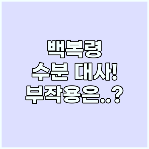 백복령 수분 대사에 뛰어난 약선 재료..