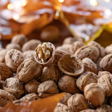 호두 효능과 부작용 하루섭취량 먹는방법 고르는법