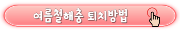 모기퇴치기 정보 및 모기알레르기