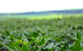 농가직불금 신청 교육-2