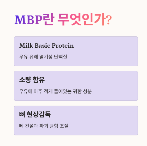 MBP란?