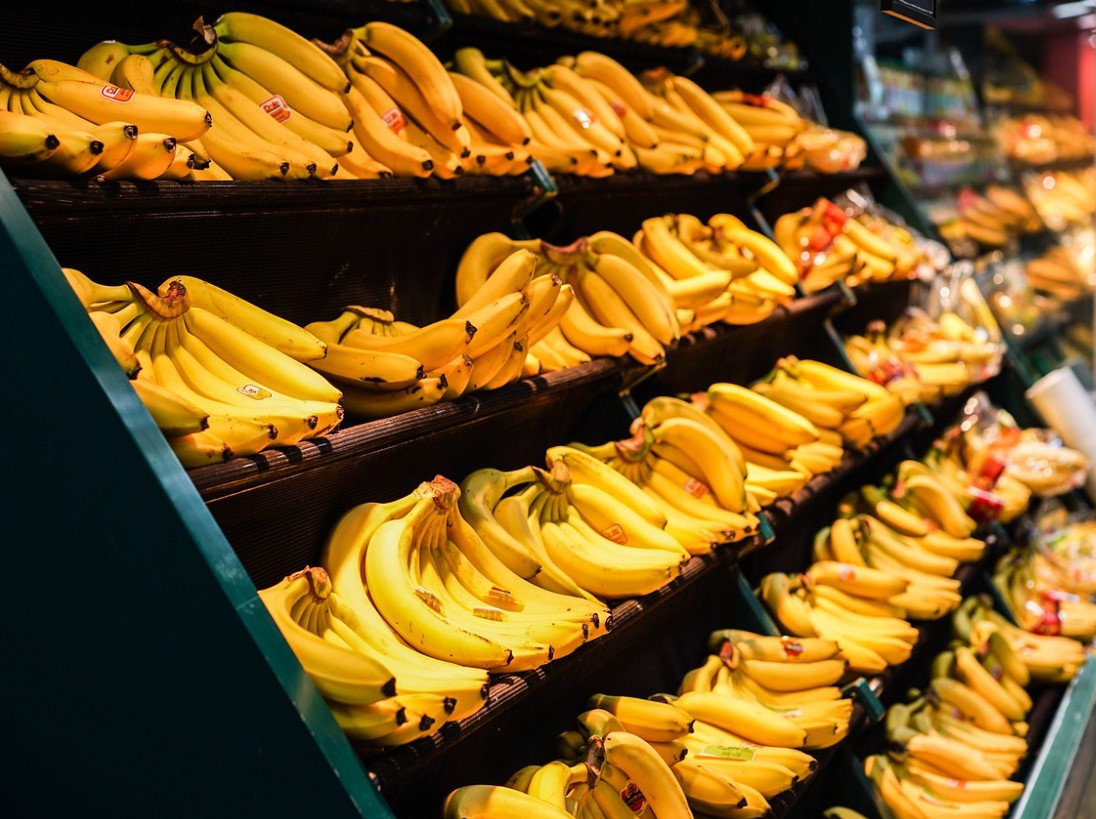 이마트-주가-전망-배당금-알아보기