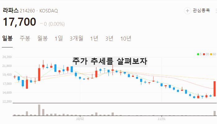 비만치료제 관련주 대장주 비만약 관련 주식 TOP5