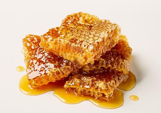 생생정보 나나랜드 경북 영천 꿀벌 부부 실버 로얄제리 산골 양봉원 주문방법