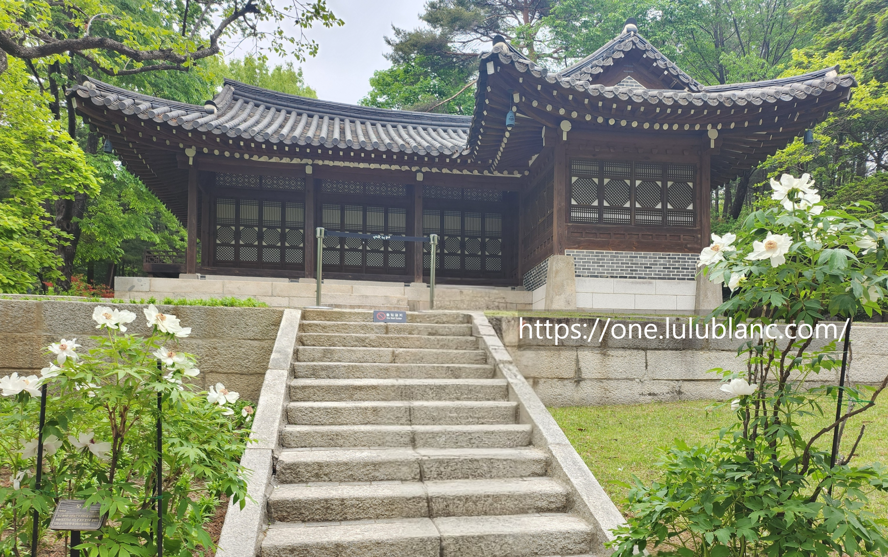 청와대 외부 전경사진