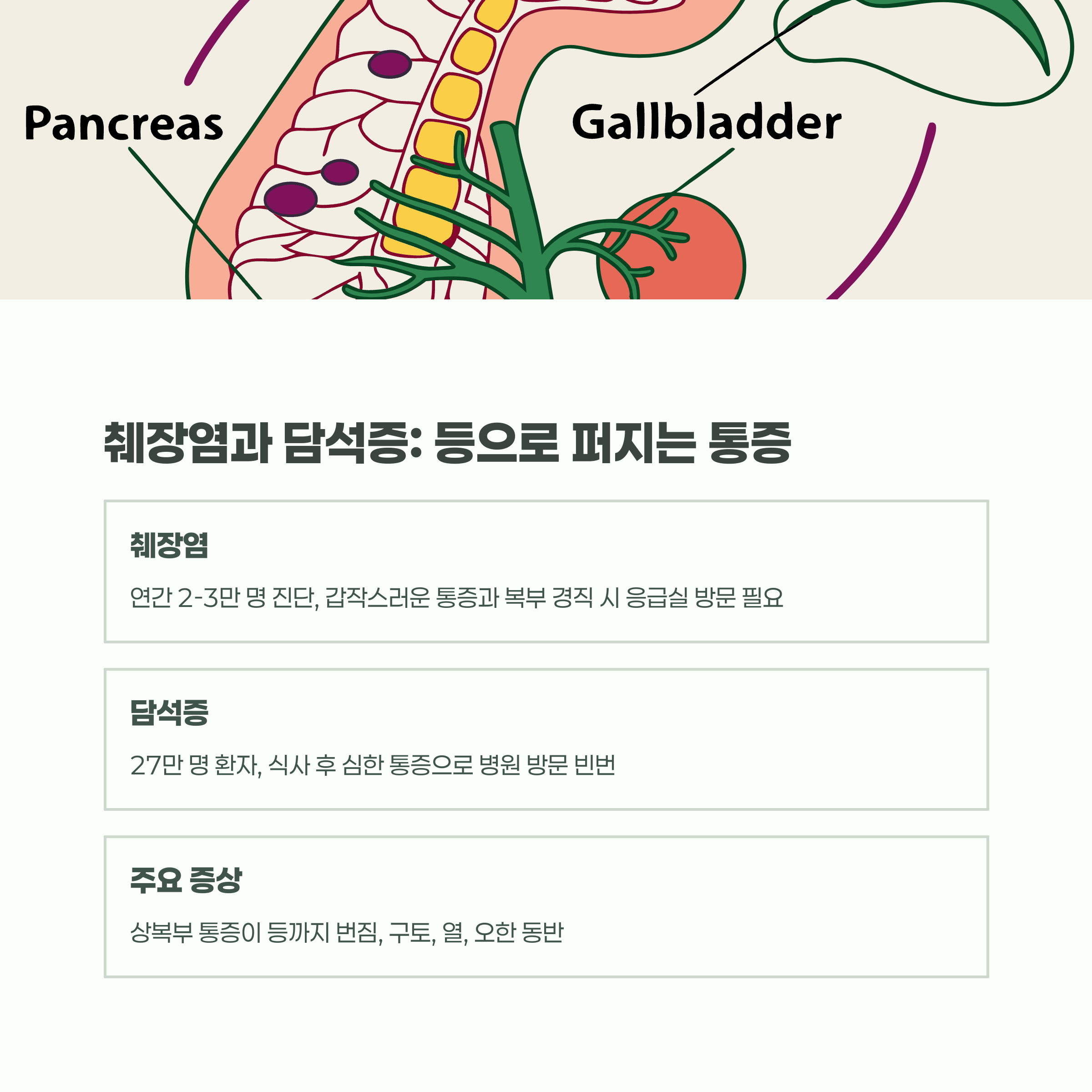 췌장염과 담석증: 통증이 등으로 퍼진다면 의심해야 합니다