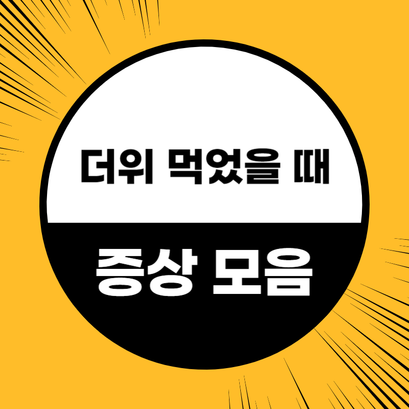 더위 먹으면 증상
