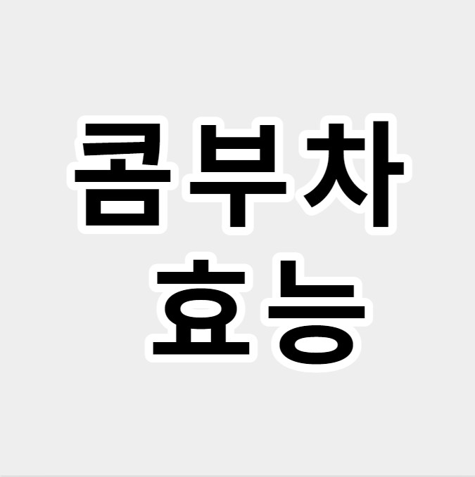 콤부차 효능