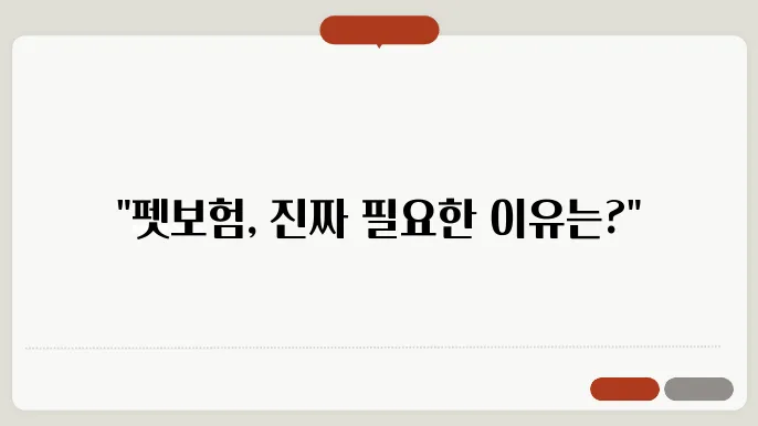 인기 펫보험 상품 비교 분석