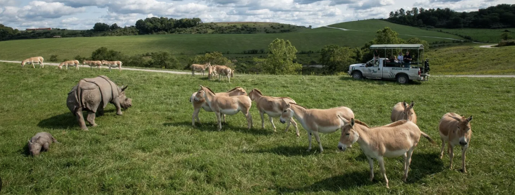 오하이오주의 숨은 명소 관련 사진
