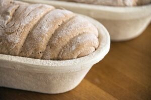 유산균과 발효 식품의 역사와 종류