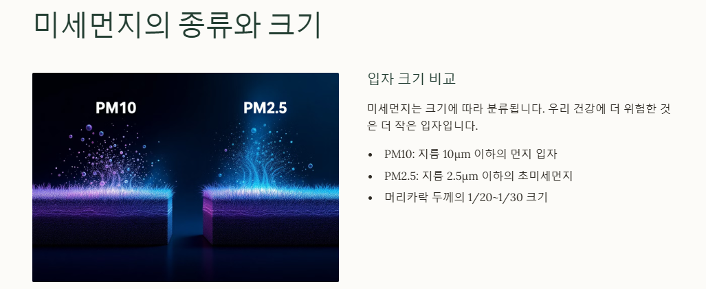 미세먼지: 환경, 건강(호흡기-비염,심혈관,뇌,면역력,피부,눈) 영향, 대응방안, 해외사례