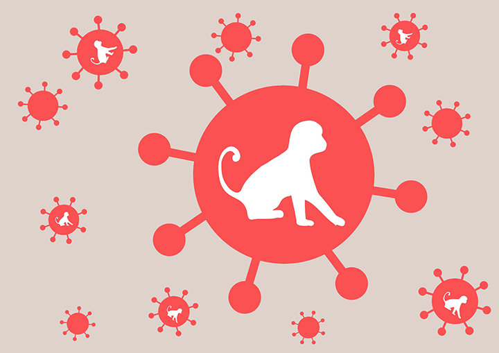 엠폭스-전파-모습