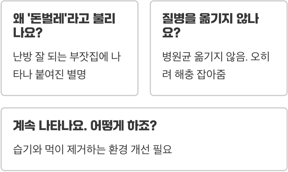 돈벌레&amp;#44; 사람도 무나요? (해로운 벌레일까?)