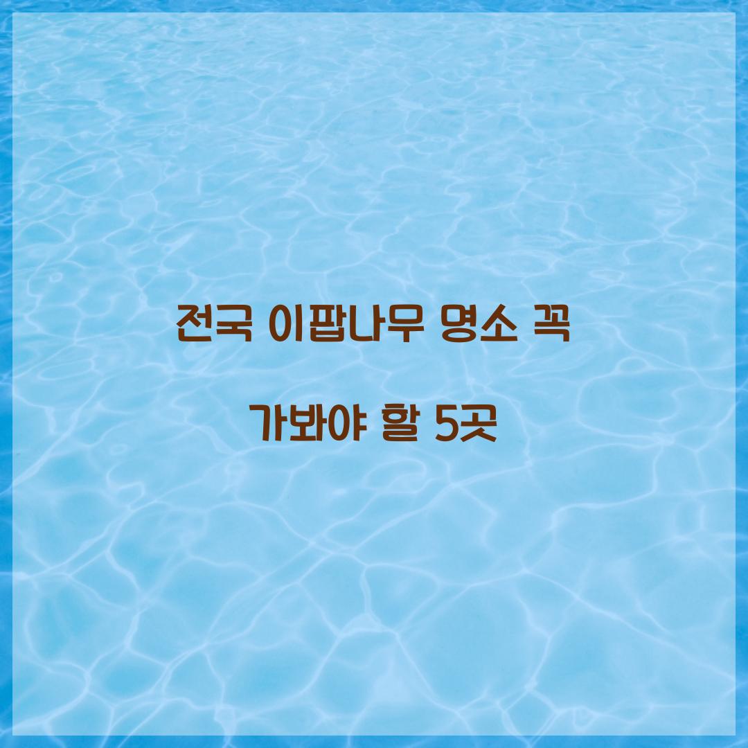 전국 이팝나무 명소
