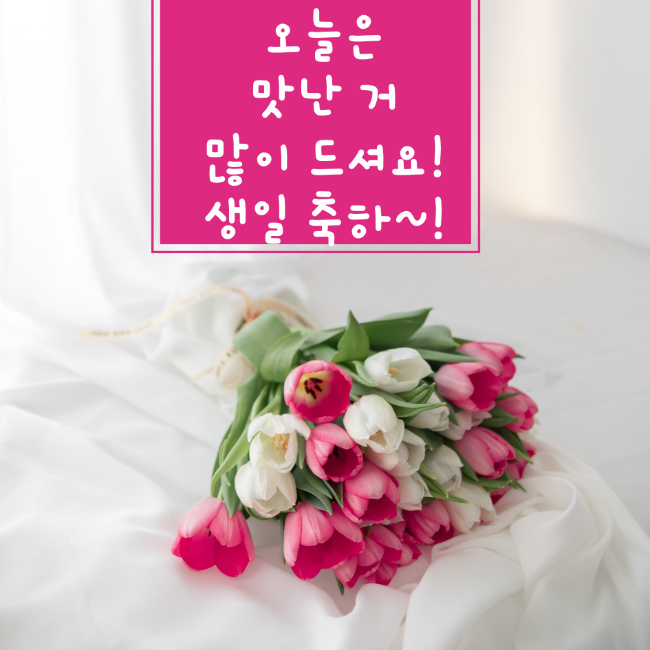 생일 축하 메세지 문구 이미지 모음글로 이동