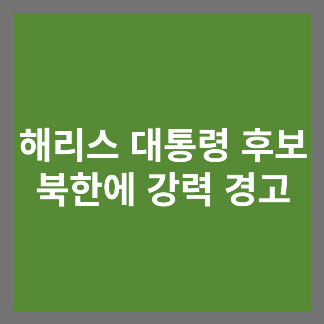 해리스 대통령 후보 북한에 강력 경고
