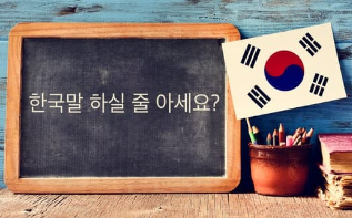 한국어 교원자격증2급