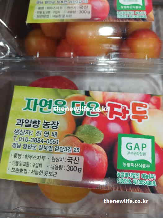 자두 효능 방법 붉은 껍질