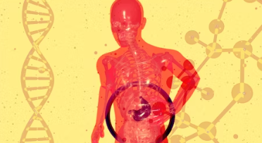 가족력과 유전적 위험