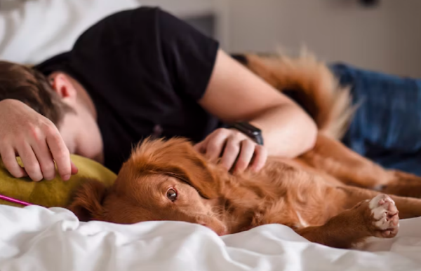 수면장애 불면증
