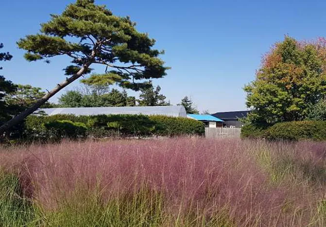서일농원