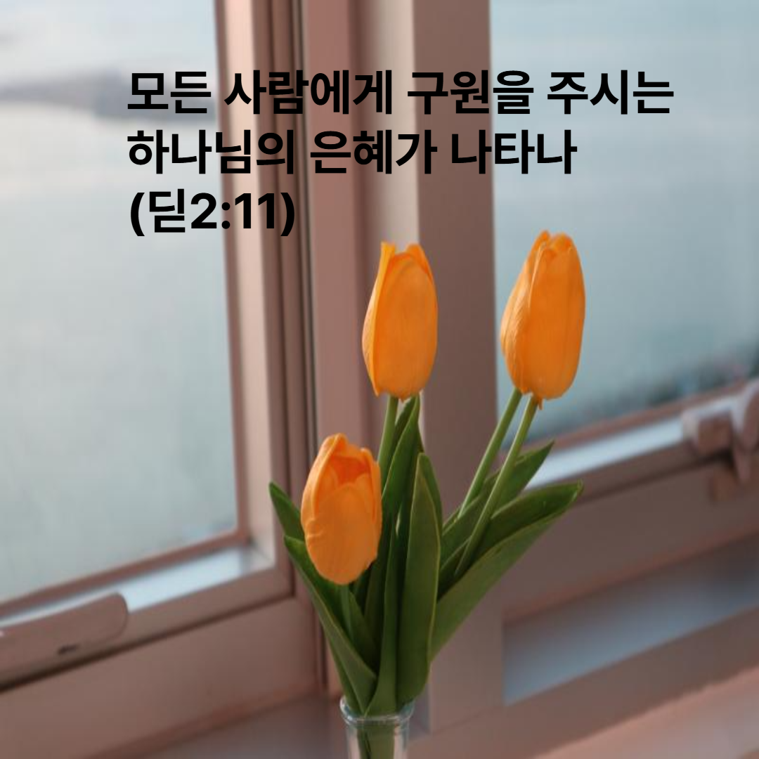 딛2:11