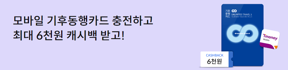 기후동행카드 카드사별 충전