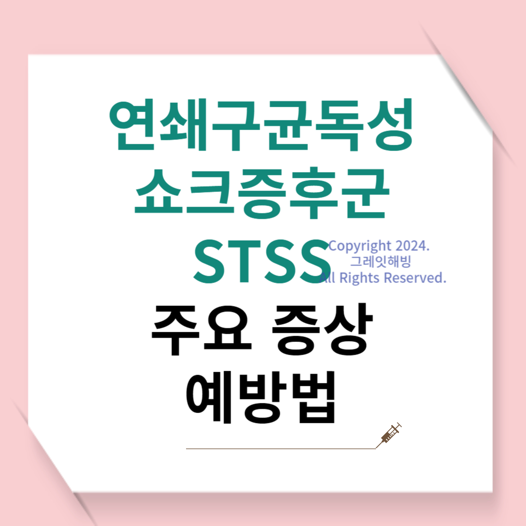일본전염병 치사율 연쇄구균독성쇼크증후군 증상과 예방하는 방법