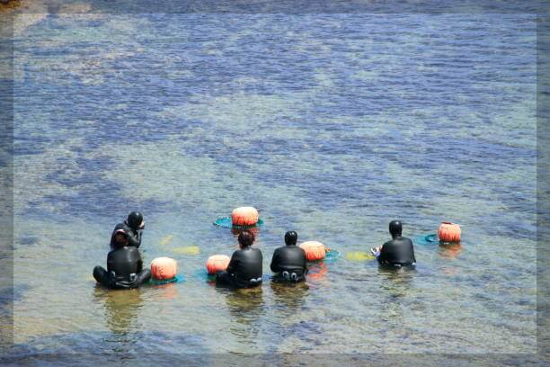 제주 올레길 20코스 지도 맛집 숙소: 북동부 바다의 매력 속으로