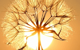 해(태양)가 비추는 창문을 여는 꿈해몽