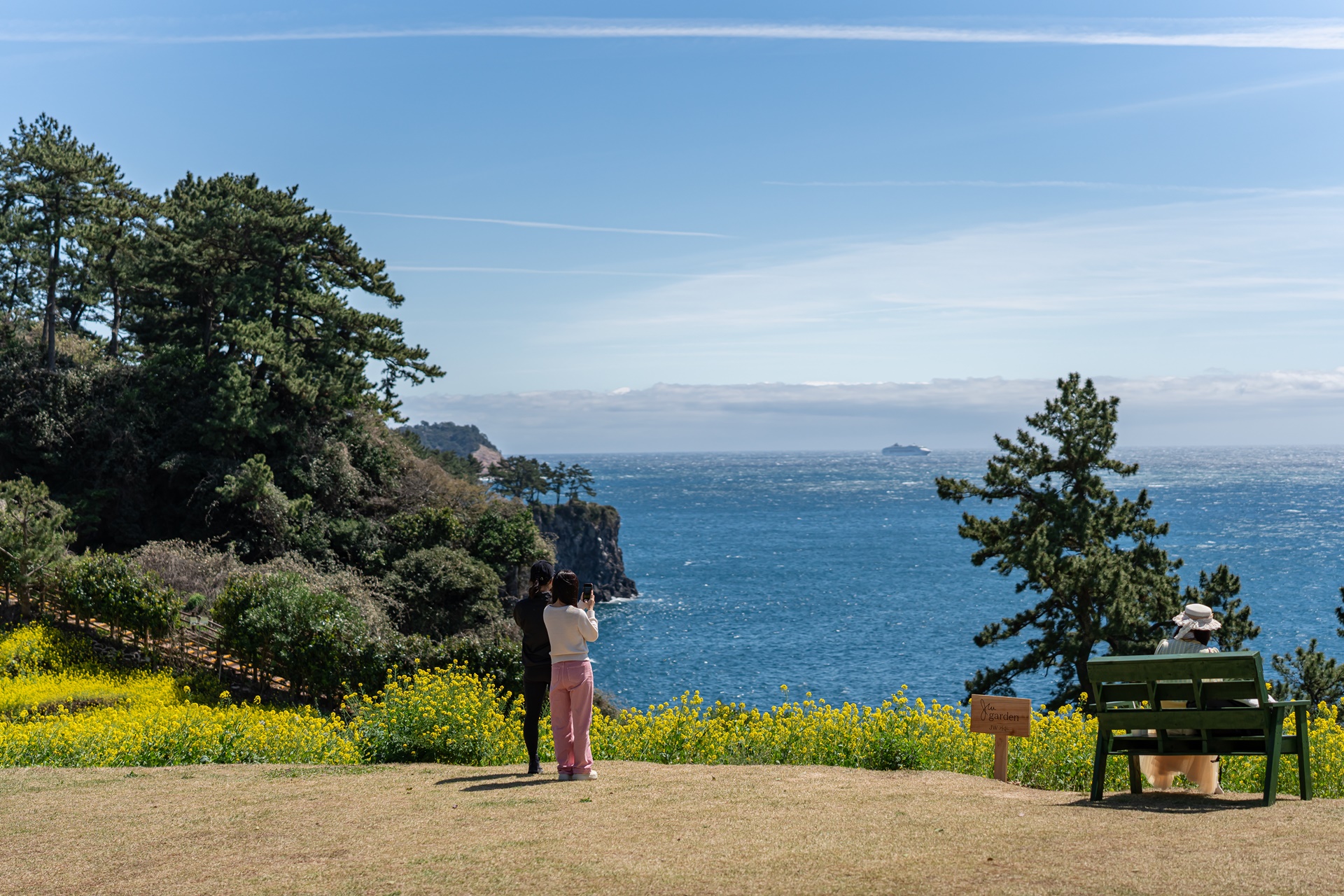 #JW가든 #JW메리어트제주 #댄싱두루미 #더플라잉호그 #아일랜드키친 #유채꽃 #제주사진 #제주여행 #제주유채꽃 #제주호텔