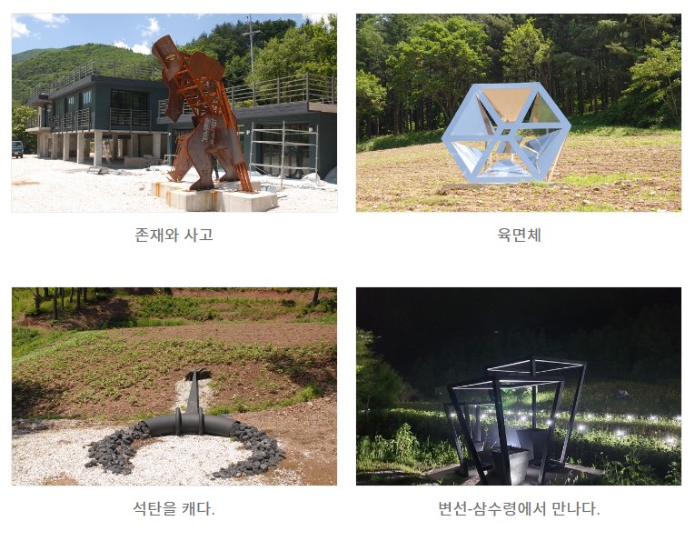 태백해바라기축제