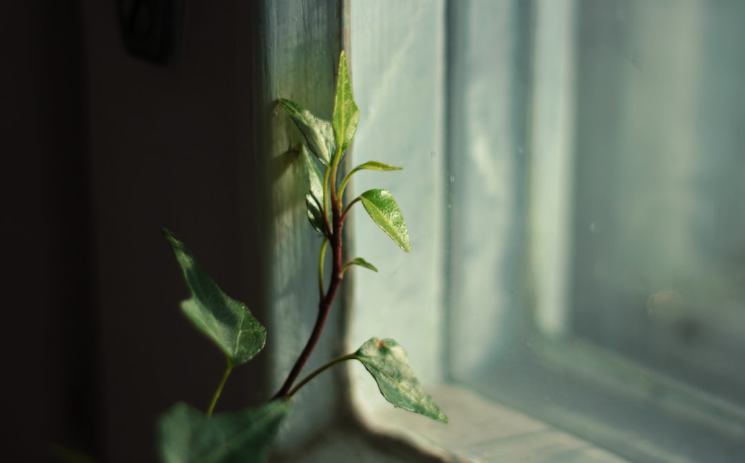 Growth.