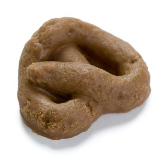 똥과 관련된 꿈종류