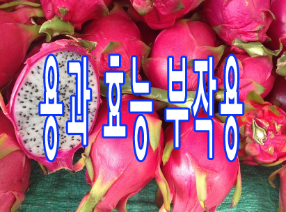 용과 효능 부작용