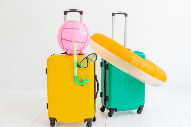 피치항공 수하물(수화물) 규정 총정리(기내 수하물, 무료 위탁 수하물, 골프백, 스키/스노우보드, 유모차, 애완동물, 기내반입)