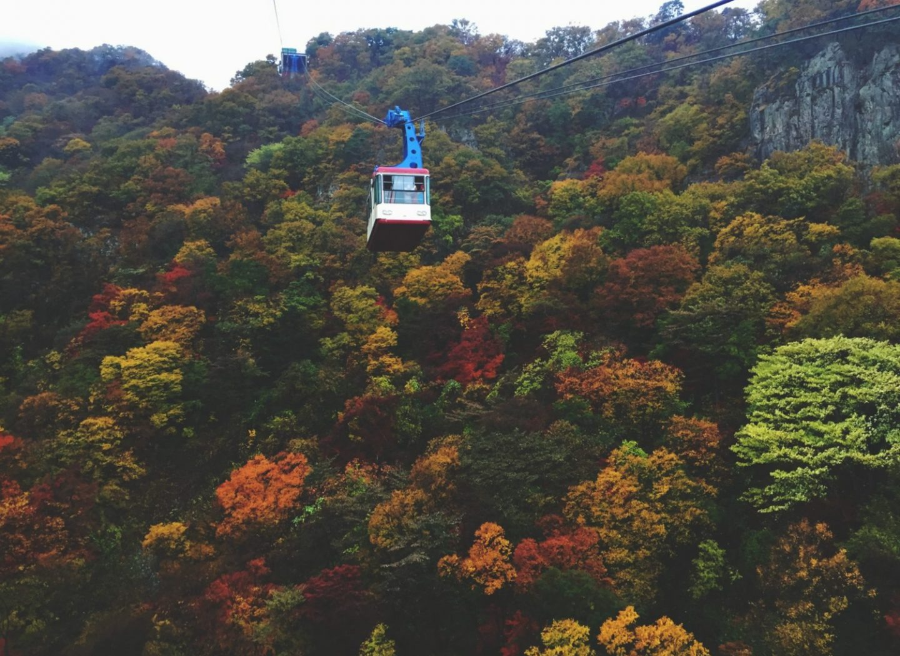 내장산 가을 단풍 여행 체크리스트