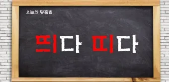 좇다 쫓다 맞춤법 맞는 표현 예문_21